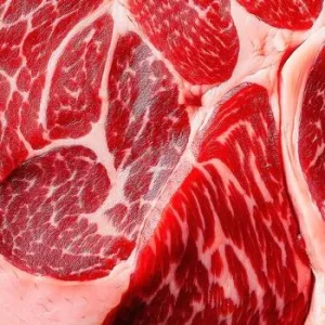 Raw wagyu